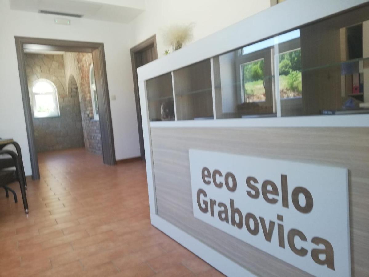 Vila Eco-Selo Grabovica Exteriér fotografie