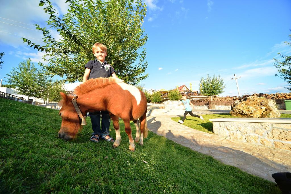 Vila Eco-Selo Grabovica Exteriér fotografie